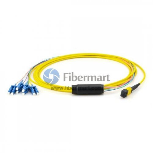 NEUTRICK Cable Fibre optique MTP12