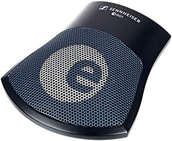 SENNHEISER E901