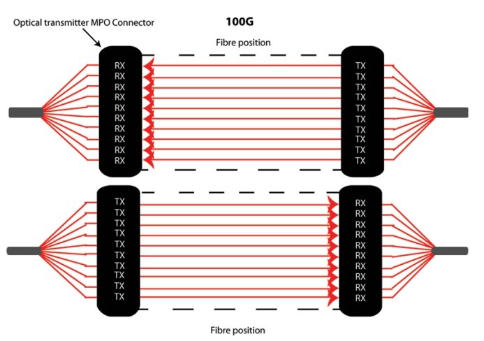 NEUTRICK Cable Fibre optique MTP12